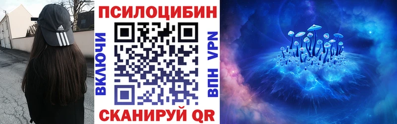 Псилоцибиновые грибы Psilocybe хочу Тутаев